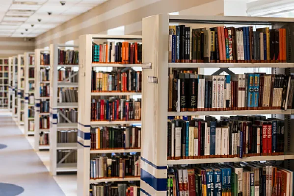 GMAT Reading Comprehension: Main Idea and Structure