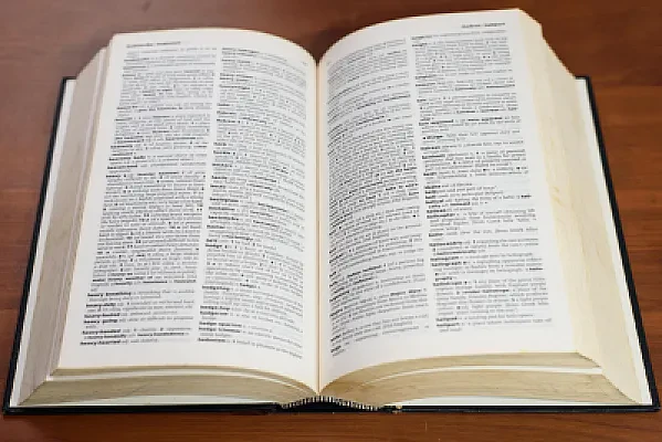 GRE Verbal Reasoning Section Guide