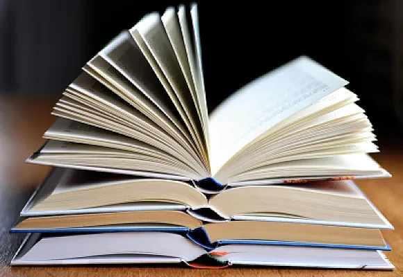 IELTS Reading Section Guide